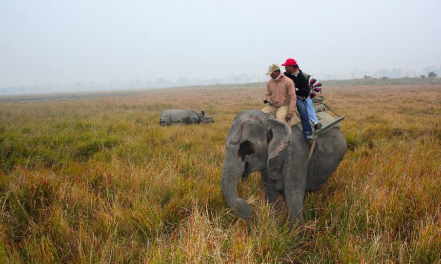 Cruising The Brahmaputra River, India