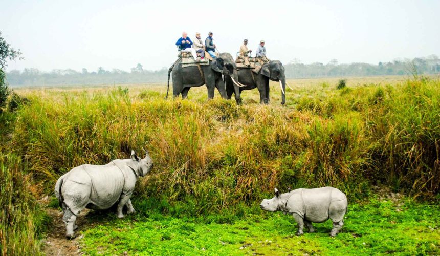 Five Amazing Experiences You Can Have In Assam