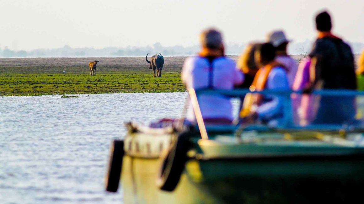 Boat safari in Kaziranga