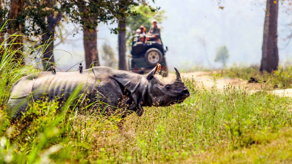 Jeep Safari Kaziranga Assam