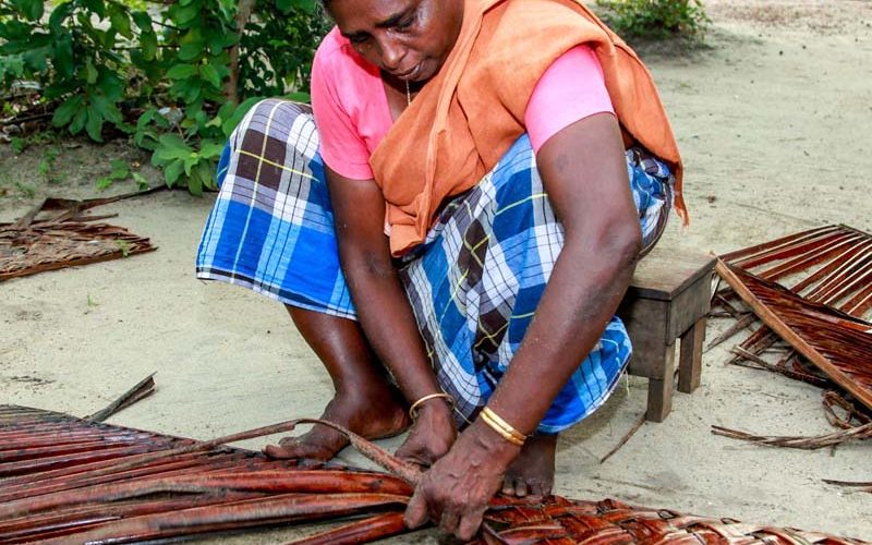 Coconut Palm frond Weaving Kerala