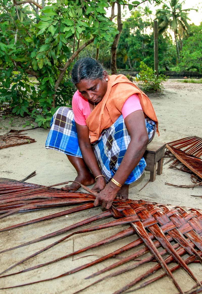 Coconut Palm frond Weaving Kerala